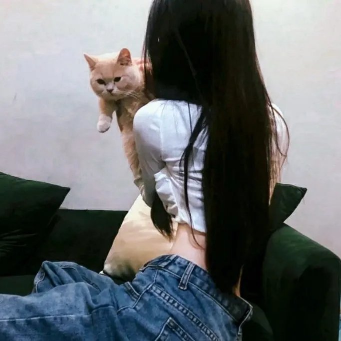 傻瓜们的行进